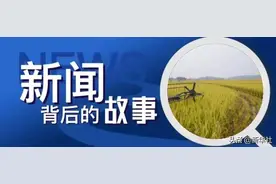 袁隆平心底的五个人生“头条”图片