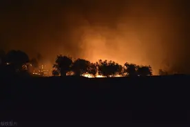 20210904 时代的灰尘《艾达，怎么了》影评图片