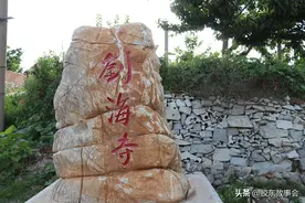 走进莱阳市吕格庄镇刘海寺村，看“麦黄杏”收获的场景图片