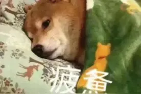 睡姿不对？起来重睡图片