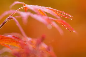 贺雪峰｜农民进城与县域城市化的风险图片