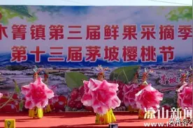 西昌茅坡樱桃红了， 邀您来赏春光、摘樱桃、品美食……图片
