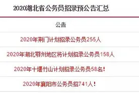2020年湖北再招公务员799人，四地已出1212人！图片