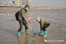 “爸爸玩什么”之“探宝神器”图片