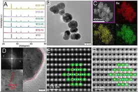 钛酸钡的缺陷诱导极化及其磁场辅助下的高效光催化N2还原研究图片
