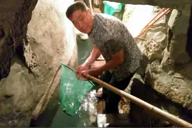 重庆一老人因“托梦”，家中挖出“聚宝盆”，年入30万还成了景点图片