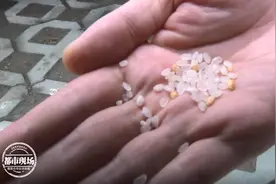 超市买到发霉大米！1个多月前的新米，怎么就变质了？图片