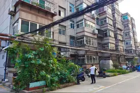 小区办不下房产证，三百多户住户求助图片