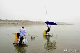 水库泥鳅精！广东水库老乡钓起“巨鳅”，当地人：几十年没过了图片