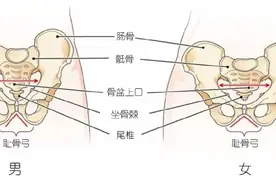 酸了，为什么男生的腿比女生还细图片
