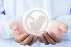 广东湛江：夫妻要求返还人工生殖辅助技术产生的胚胎 法院：支持！图片