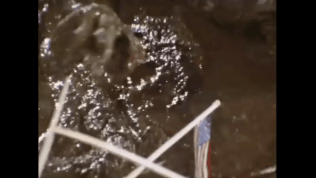 火了半个世纪的真“顶流”，没有一个人能躲过奥特曼（上）