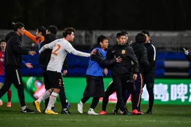 足协再制定新规：打架最高禁赛5年，罢赛5分钟将被驱逐出联赛图片