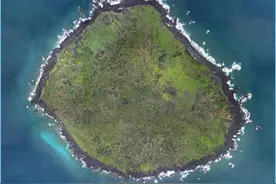 英语双语故事写作练习系列之 海豚 Dolphin （一） 干就是了图片