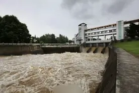 洪水来袭，安徽六安河道黑鱼密密麻麻，当地人:太多了哪来的？图片