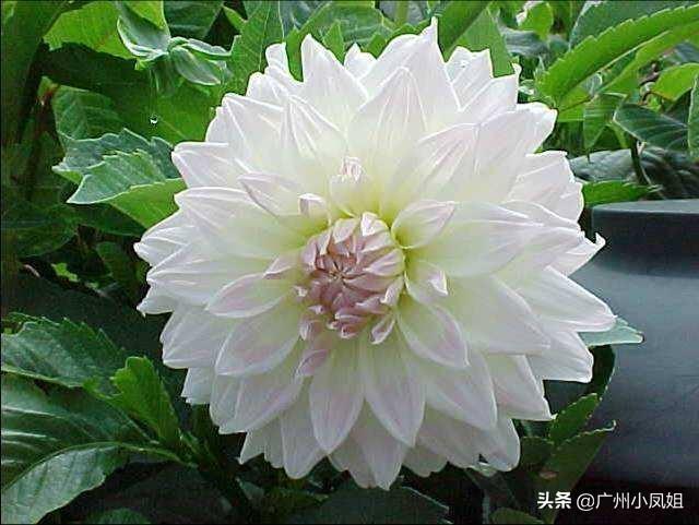 相思无益，十诫说与君知