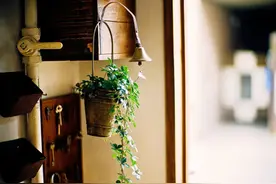 我以为（深度好文）图片