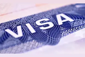 全面了解澳洲七大常见签证类别，哪种更适合你和家人申请？图片