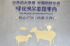 记者@您｜新右旗：又到一年出栏季 金秋牧民喜丰收图片