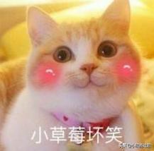 dnf心悦怎么下载（DNF心悦闪光杯总决赛来了Hello语音怕不是搞事情）