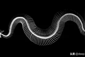 单变量和多变量高斯分布：可视化理解图片