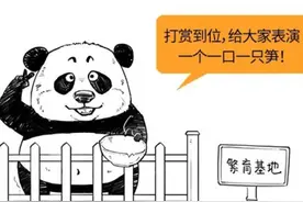大熊猫被降级了，我可以领养了吗？图片