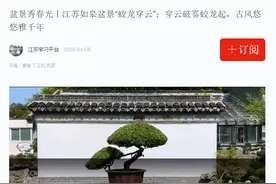 这棵盆景堪称如皋水绘园风景区“镇园之宝”！与北宋大儒胡瑗有关，距今已有1000多年历史～图片