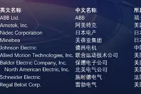 全球BLDC电机主流制造商（Top 10）图片
