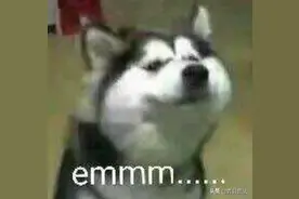 惊呆了！村民将200万现金埋地下5年！图片