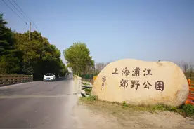浦江郊野公园，上海首个大规模秋景公园，林花农岸水五大主题公园图片