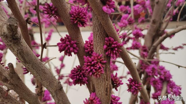 利润等于什么公式（核心：利润=收入-成本）