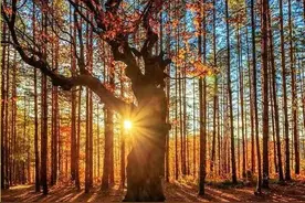 德行是做人的根本，做好事先做好人图片