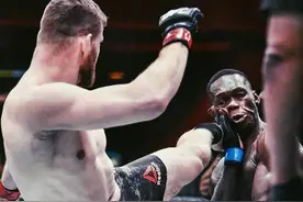 墙倒众人推，黑龙升重挑战失败，遭UFC名将们花样嘲讽图片