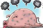 养猪场针对非洲猪瘟的常用消毒剂种类介绍图片
