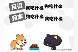 在聊城传说中的10大家族，地位不可撼动图片