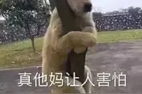 网友的恐怖经历，这些都是真实的吗？太吓人了！图片