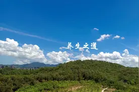 辛甘化阳 酸甘化阴 一味甘草治百病图片