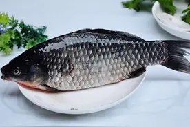 俗话说“鱼不蒜，牛不韭，肉不姜”，你明白里面的含义吗？图片