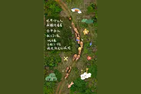 你心心念念的大象，快要回家了！图片