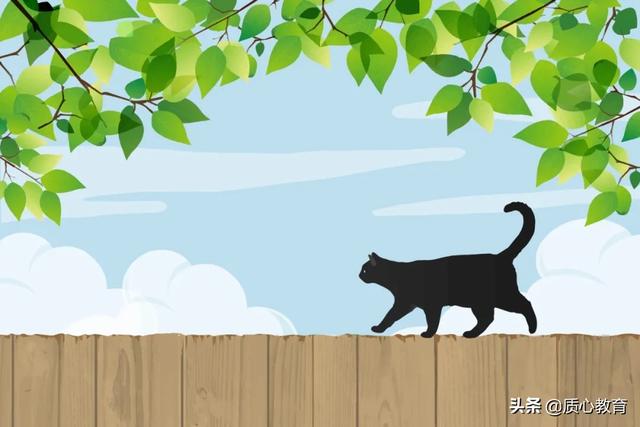 高一联赛失利，高二逆袭国集保送北大，他的经验和方法都在这了