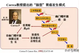 叶酸+维生素B12，治疗慢性萎缩性胃炎图片
