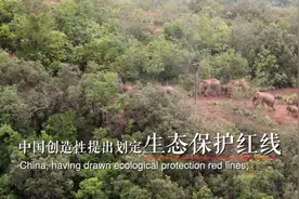 全球连线 | 重磅微视频：万物生图片