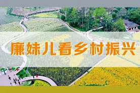 廉妹儿看乡村振兴③ | 蒲阳街道团结社区：农旅融合“三美”示范村图片