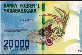 杂交水稻印上本国钞票，非洲最大岛国用特殊方式感谢袁隆平先生图片