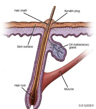 孩子怎么预防鸡皮肤