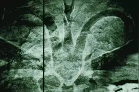 哥斯拉系列17只远古泰坦巨兽的全面解析：这些冷知识你都知道吗图片