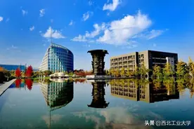 法国里昂中国留学生领取祖国“健康包”背后感人故事图片