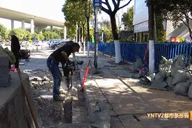 道路又开挖，这次是为了啥？图片