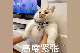 大学奇葩事迹千千万，毕业设计占一半图片