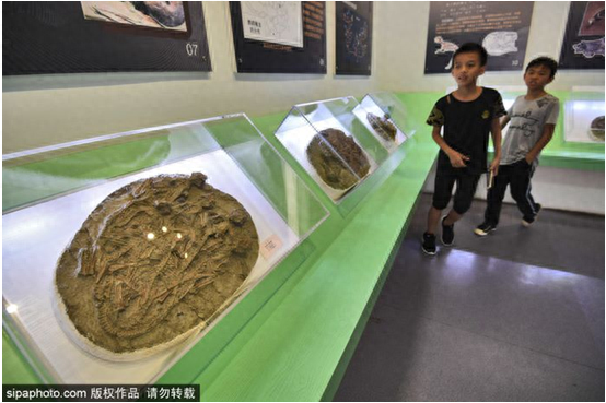 光大银行白熊信用卡年费，光大银行白熊信用卡年费多少 配图12